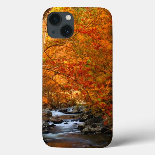 VS, Tennessee. Rushing Mountain Creek 2 Case-Mate iPhone Case (Achterkant)