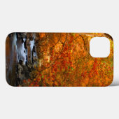 VS, Tennessee. Rushing Mountain Creek 2 Case-Mate iPhone Case (Achterkant (horizontaal))