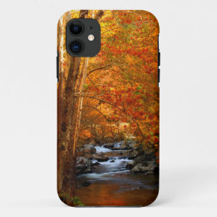 VS, Tennessee. Rushing Mountain Creek 2 iPhone 11 Hoesje