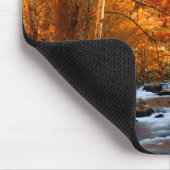 VS, Tennessee. Rushing Mountain Creek 2 Muismat (Hoek)