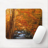 VS, Tennessee. Rushing Mountain Creek 2 Muismat (Met muis)