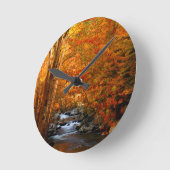 VS, Tennessee. Rushing Mountain Creek 2 Ronde Klok (Hoek)