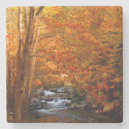 VS, Tennessee. Rushing Mountain Creek 2 Stenen Onderzetter (Voorkant)