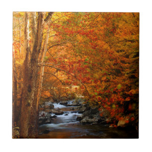 VS, Tennessee. Rushing Mountain Creek 2 Tegeltje