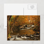 VS, Tennessee. Rushing Mountain Creek 3 Briefkaart (Voorkant / Achterkant)