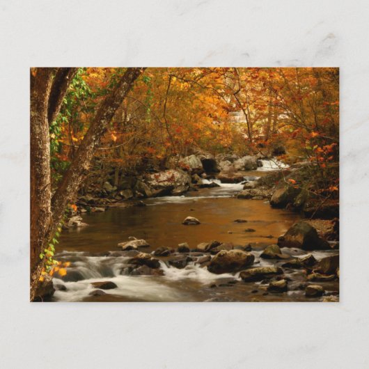 VS, Tennessee. Rushing Mountain Creek 3 Briefkaart (Voorkant)