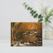 VS, Tennessee. Rushing Mountain Creek 3 Briefkaart (Staand voorkant)