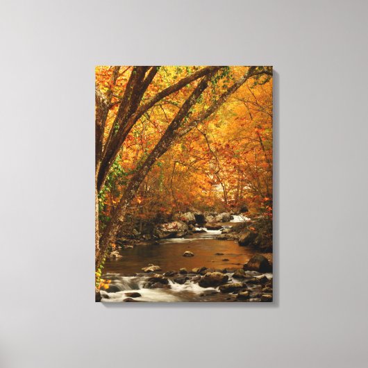 VS, Tennessee. Rushing Mountain Creek 3 Canvas Afdruk (Voorkant)
