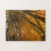 VS, Tennessee. Rushing Mountain Creek 3 Legpuzzel (Horizontaal)
