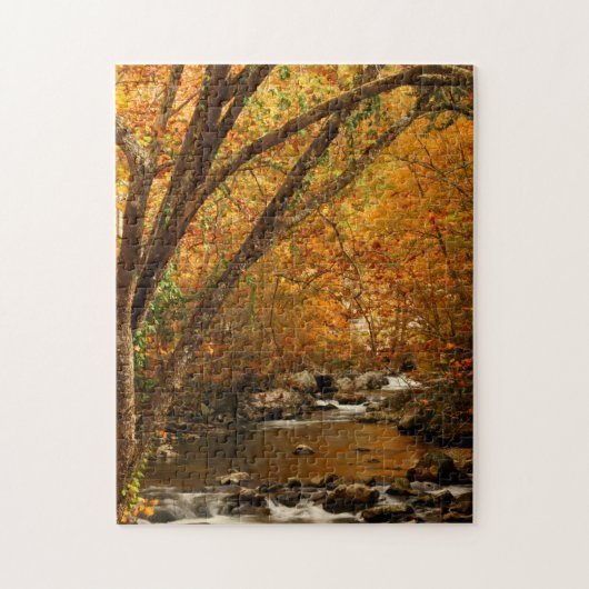 VS, Tennessee. Rushing Mountain Creek 3 Legpuzzel (Verticaal)
