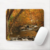 VS, Tennessee. Rushing Mountain Creek 3 Muismat (Met muis)
