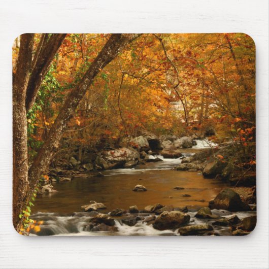 VS, Tennessee. Rushing Mountain Creek 3 Muismat (Voorkant)
