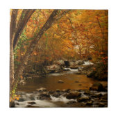 VS, Tennessee. Rushing Mountain Creek 3 Tegeltje (Voorkant)