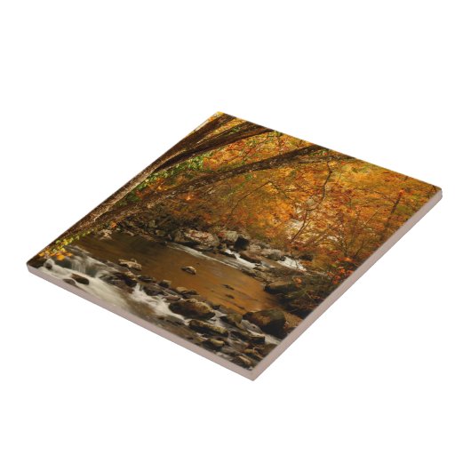 VS, Tennessee. Rushing Mountain Creek 3 Tegeltje (Zijkant)