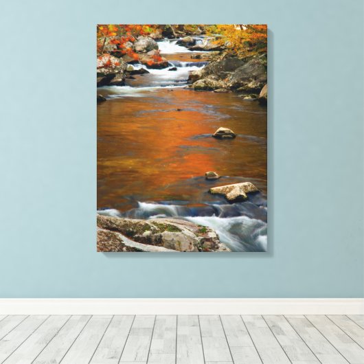 VS, Tennessee. Rushing Mountain Creek 4 Canvas Afdruk (Insitu (Houten vloer))