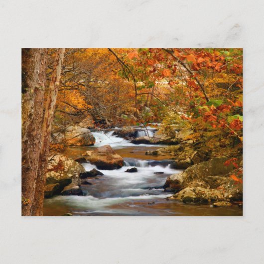 VS, Tennessee. Rushing Mountain Creek Briefkaart (Voorkant)