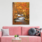 VS, Tennessee. Rushing Mountain Creek Canvas Afdruk (Insitu (Woonkamer))