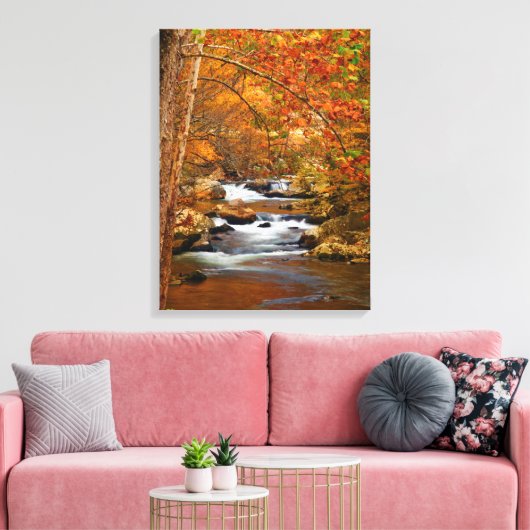 VS, Tennessee. Rushing Mountain Creek Canvas Afdruk (Insitu (Woonkamer))