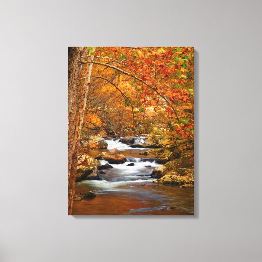 VS, Tennessee. Rushing Mountain Creek Canvas Afdruk (Voorkant)
