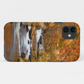 VS, Tennessee. Rushing Mountain Creek Case-Mate iPhone Case (Achterkant (horizontaal))