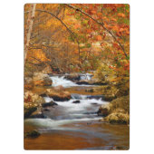 VS, Tennessee. Rushing Mountain Creek Klembord (Achterkant)