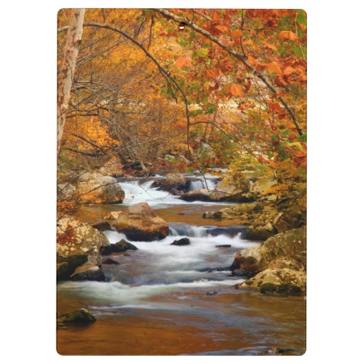 VS, Tennessee. Rushing Mountain Creek Klembord (Achterkant)