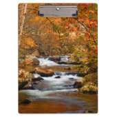 VS, Tennessee. Rushing Mountain Creek Klembord (Voorkant)