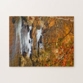 VS, Tennessee. Rushing Mountain Creek Legpuzzel (Horizontaal)