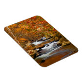 VS, Tennessee. Rushing Mountain Creek Magneet (Rechterzijde)