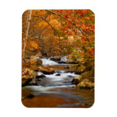 VS, Tennessee. Rushing Mountain Creek Magneet (Verticaal)