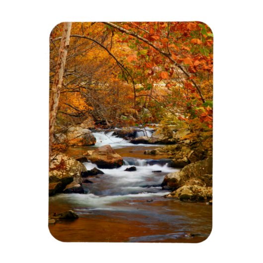 VS, Tennessee. Rushing Mountain Creek Magneet (Verticaal)