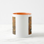 VS, Tennessee. Rushing Mountain Creek Mok (Midden)