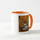 VS, Tennessee. Rushing Mountain Creek Mok (Voorkant rechts)