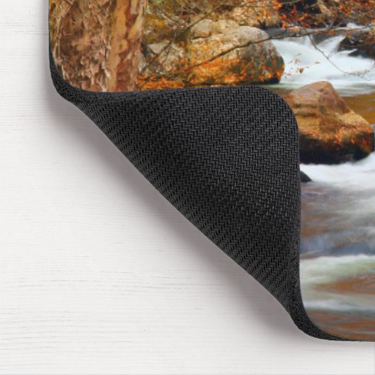 VS, Tennessee. Rushing Mountain Creek Muismat (Hoek)