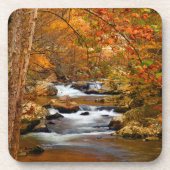 VS, Tennessee. Rushing Mountain Creek Onderzetter (Voorkant)