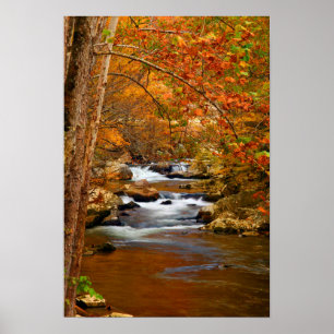 VS, Tennessee. Rushing Mountain Creek Poster