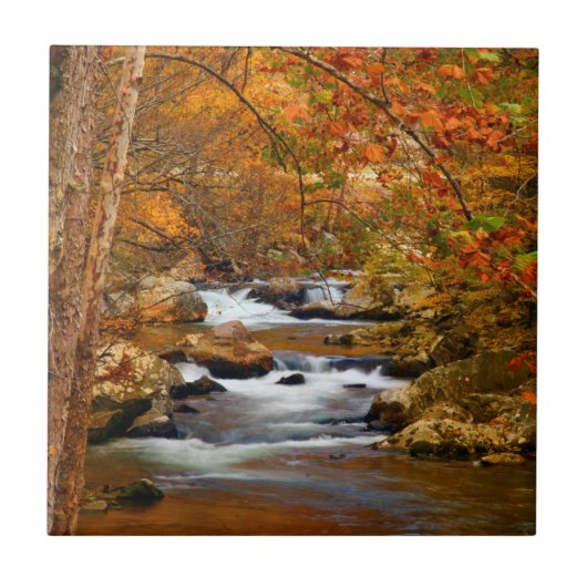 VS, Tennessee. Rushing Mountain Creek Tegeltje (Voorkant)