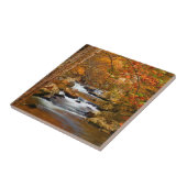 VS, Tennessee. Rushing Mountain Creek Tegeltje (Zijkant)