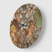 VS, Tennessee, sluit schors op een boom Grote Klok (Hoek)