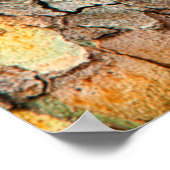 VS, Tennessee, sluit schors op een boom Poster (Hoek)