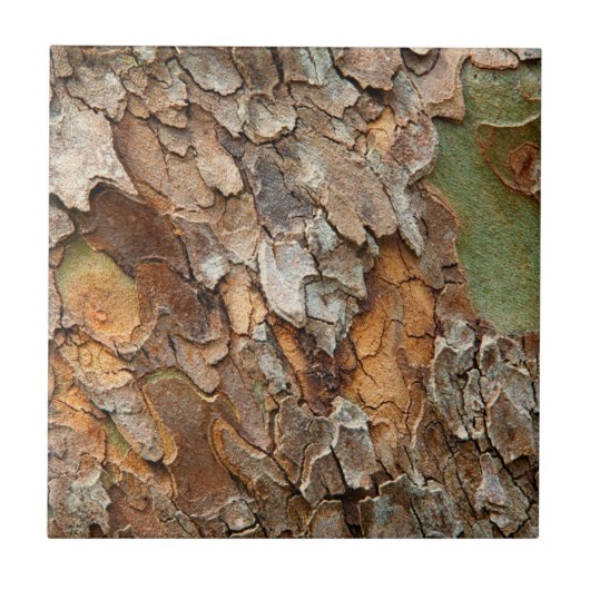 VS, Tennessee, sluit schors op een boom Tegeltje (Voorkant)