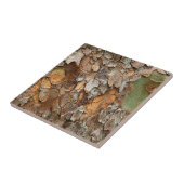 VS, Tennessee, sluit schors op een boom Tegeltje (Zijkant)