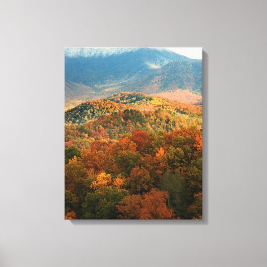 VS, Tennessee. Uitzicht op besneeuwde Mount Lecont Canvas Afdruk (Voorkant)
