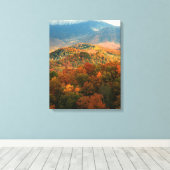 VS, Tennessee. Uitzicht op besneeuwde Mount Lecont Canvas Afdruk (Insitu (Houten vloer))