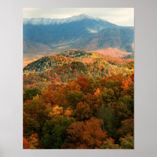 VS, Tennessee. Uitzicht op besneeuwde Mount Lecont Poster (Voorkant)