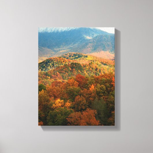 VS, Tennessee. Uitzicht Snowy Mount Leconte Canvas Afdruk (Voorkant)