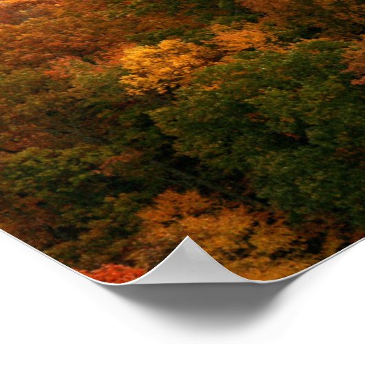 VS, Tennessee. Uitzicht Snowy Mount Leconte Poster (Hoek)