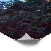 VS, Texas, Austin. Capitool (1888) 4 Poster (Hoek)