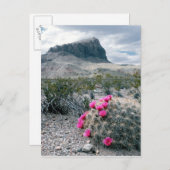VS, Texas, Big Bend National Park. Blooming Briefkaart (Voorkant / Achterkant)