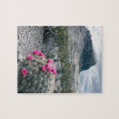 VS, Texas, Big Bend National Park. Blooming Legpuzzel (Horizontaal)